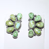 Sonoran Earrings by Reva Goodluck