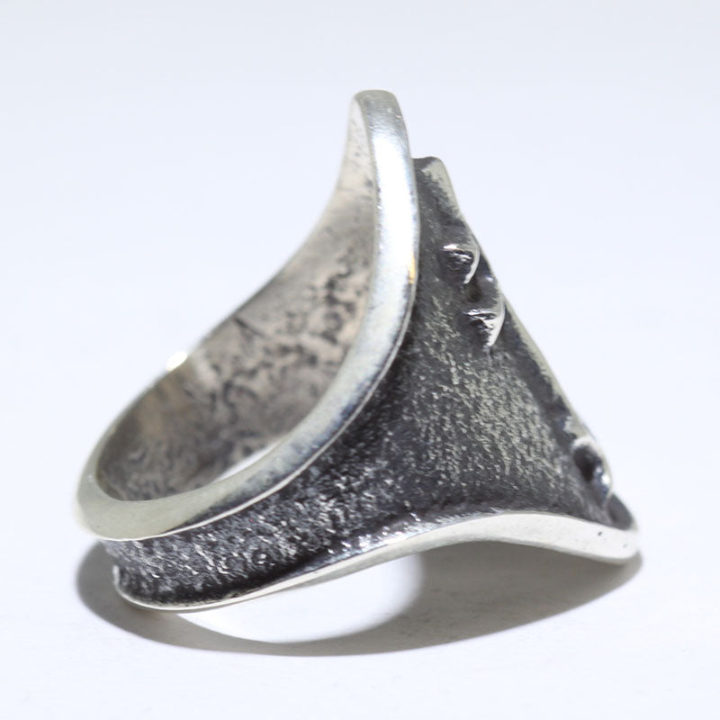 Silver Ring by Aaron Anderson