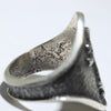 Silver Ring by Aaron Anderson