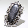 White Buffalo Ring by Dustin Francisco- 8