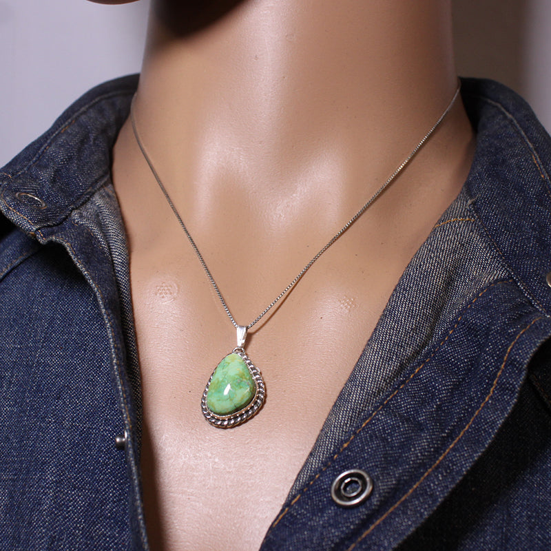 Sonoran Pendant by Robin Tsosie
