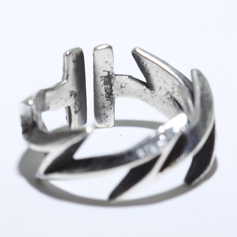 Lightening Ring by Aaron Anderson