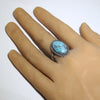 Sonoran Ring by Robin Tsosie- 8.5