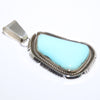 Royston Pendant by Fred Peters