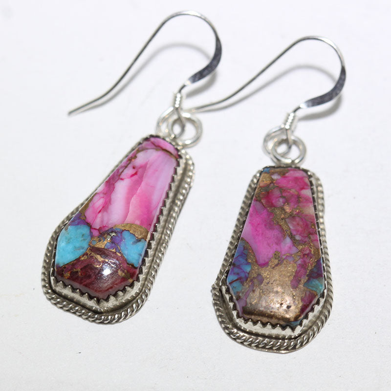 Mohave Earrings by Robin Tsosie
