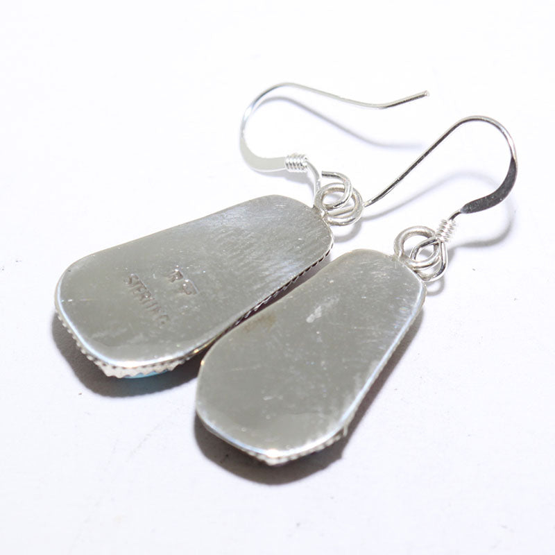 Mohave Earrings by Robin Tsosie