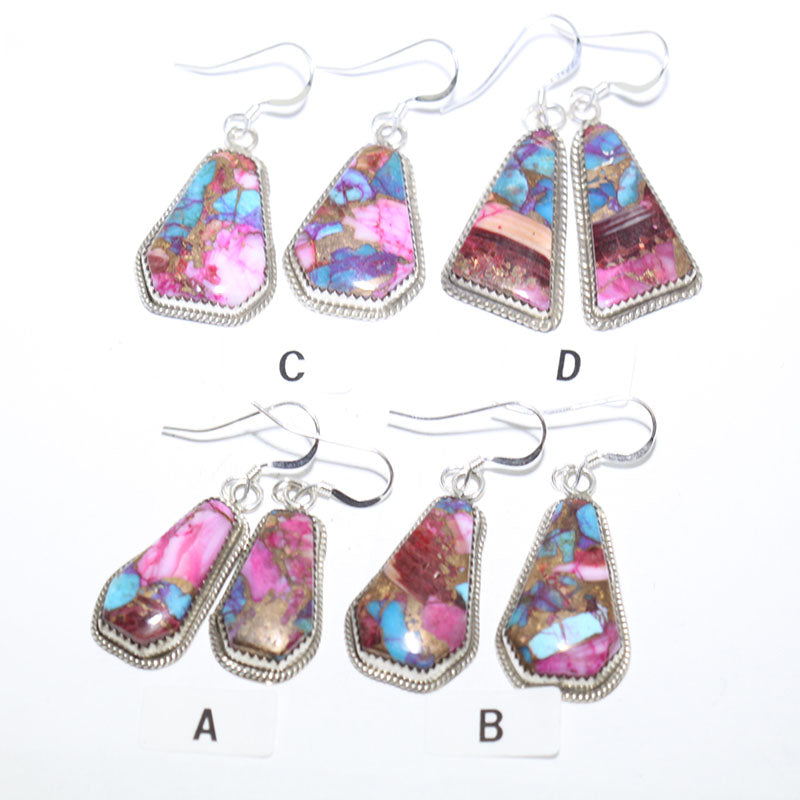Mohave Earrings by Robin Tsosie