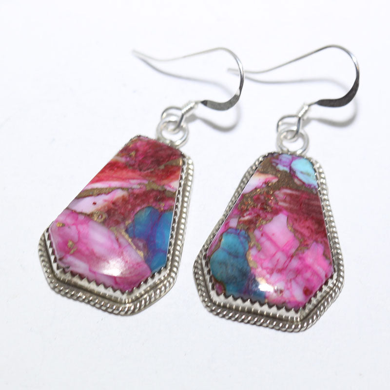 Mohave Earrings by Robin Tsosie