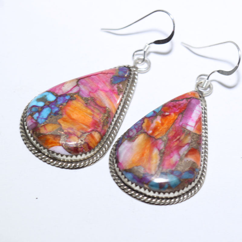 Mohave Earrings by Robin Tsosie