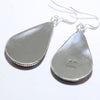 Mohave Earrings by Robin Tsosie