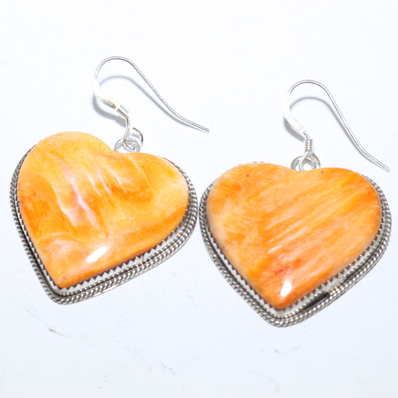 Spiny Earrings by Robin Tsosie