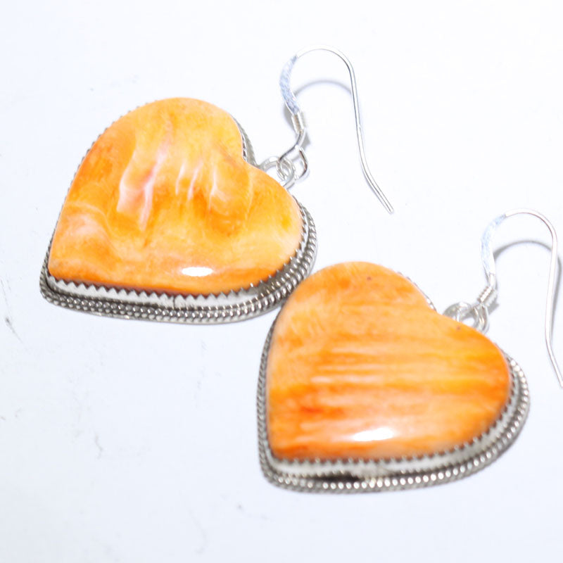 Spiny Earrings by Robin Tsosie