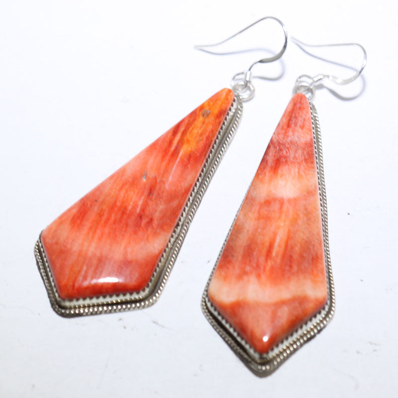 Spiny Earrings by Robin Tsosie