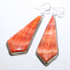 Spiny Earrings by Robin Tsosie