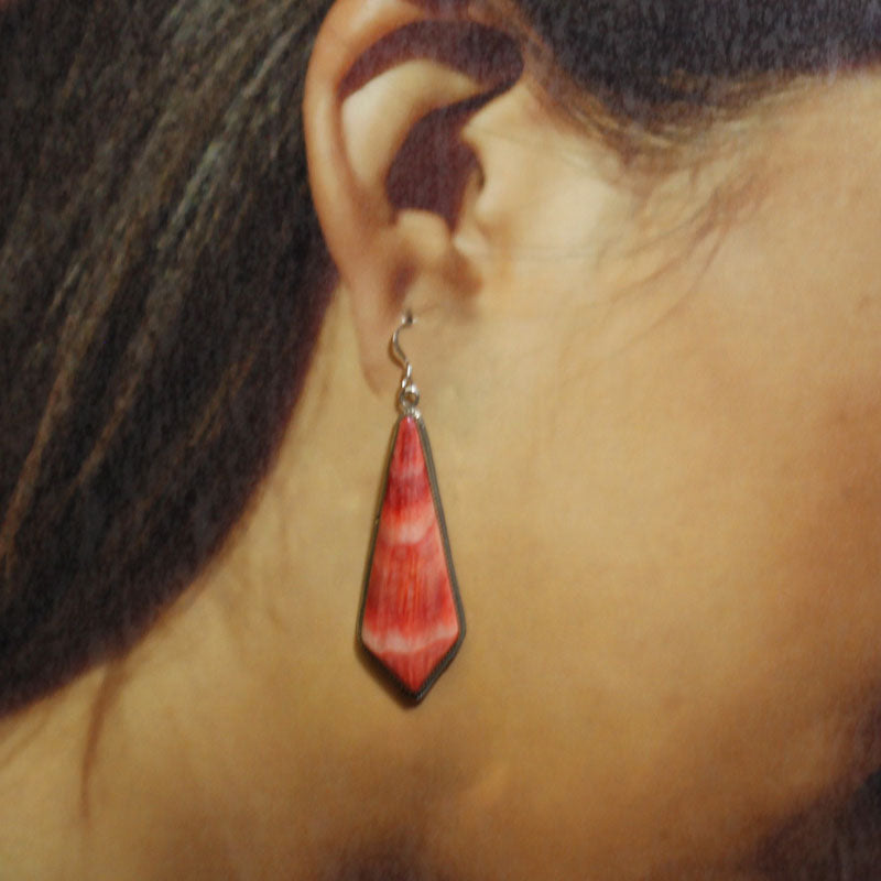Spiny Earrings by Robin Tsosie