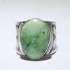 Sonoran Ring by Arnold Goodluck- 10