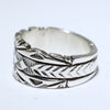 Silver Ring by Bruce Morgan