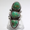 Sonoran Ring by Karlene Goodluck- 5.5