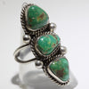 Sonoran Ring by Karlene Goodluck- 5.5