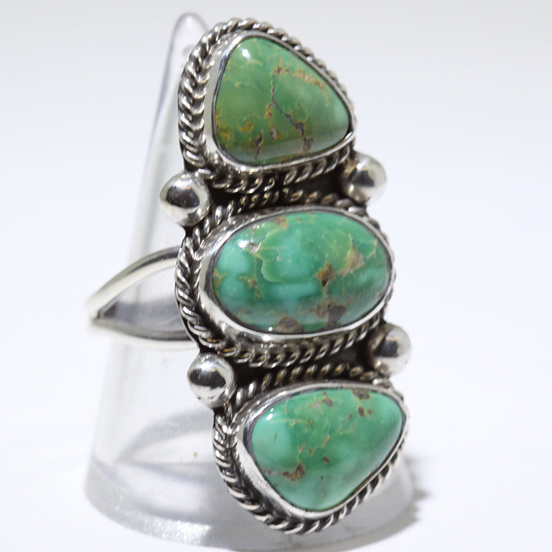 Sonoran Ring by Karlene Goodluck- 7