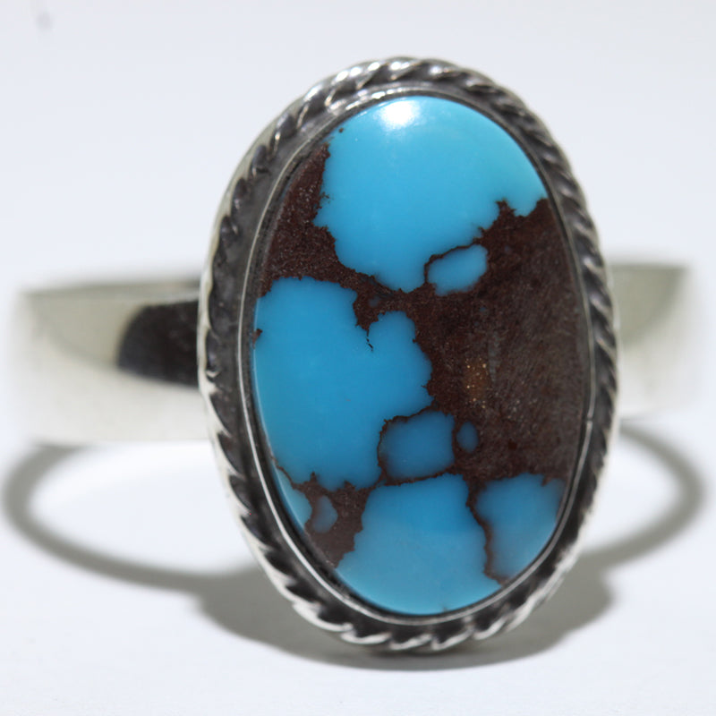 Egyptian Ring by Robin Tsosie- 18+