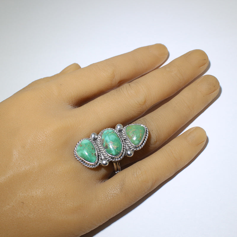 Sonoran Ring by Karlene Goodluck- 7