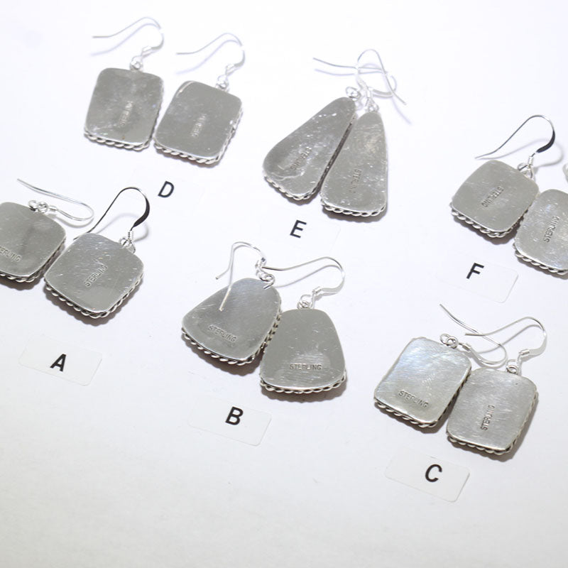 Spiny Earrings by Robin Tsosie