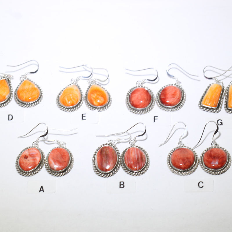 Spiny Earrings by Robin Tsosie