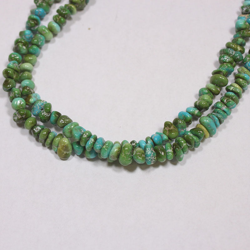 Sonoran Strand by Reva Goodluck