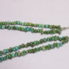 Sonoran Strand by Reva Goodluck