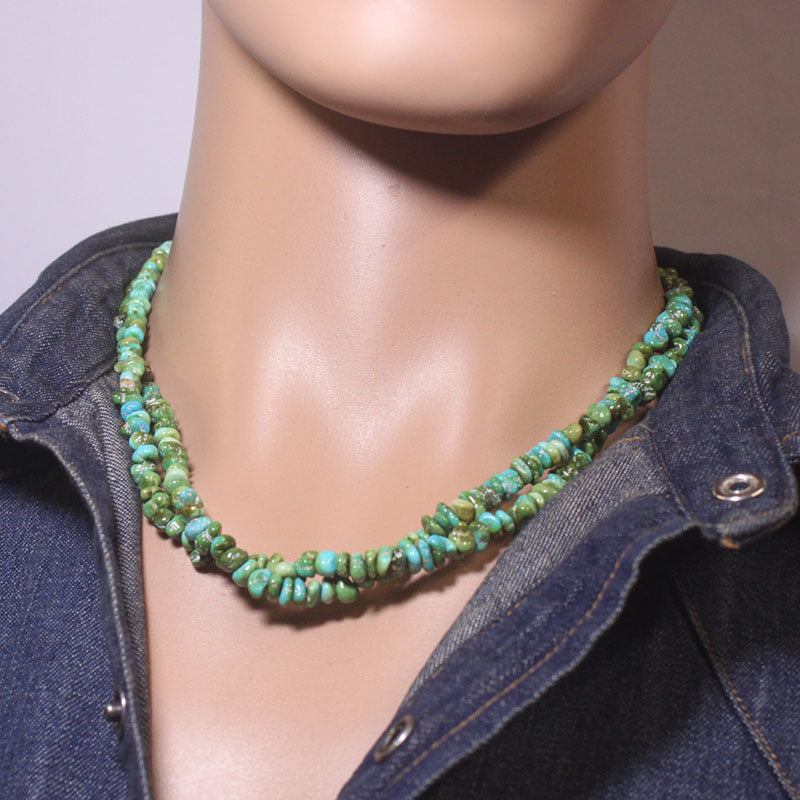 Sonoran Strand by Reva Goodluck