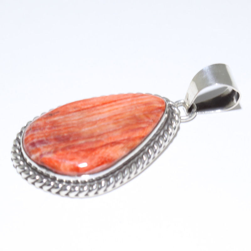 Spiny Pendant by Robin Tsosie