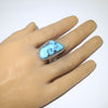 Ithaca Peak Ring by Robin Tsosie- 10.5