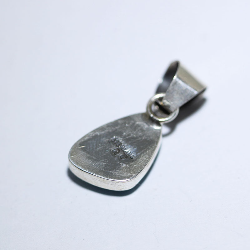 Indian Mountain Pendant by Robin Tsosie