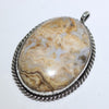 Picture Jasper Pendant