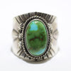 Sonoran Ring by Andy Cadman- 8.5