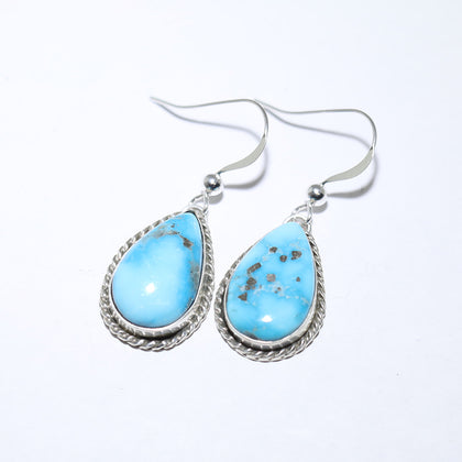 Teardrop Earrings by Pauline Nelson