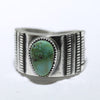Sonoran Ring by Harrison Jim- 9.5