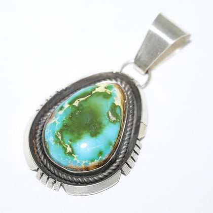 Sonoran Pendant by Fred Peters