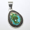 Sonoran Pendant by Fred Peters