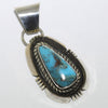 Bisbee Pendant by Fred Peters