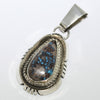 Bisbee Pendant by Fred Peters