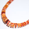 Spiny Necklace by Navajo 19"