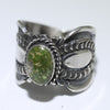 Sonoran Ring by Delayne Reeves- 10.5