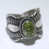 Sonoran Ring by Delayne Reeves- 10.5