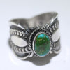 Sonoran Ring by Delayne Reeves- 12.5