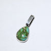 Sonoran Pendant by Reva Goodluck