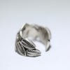Eagle Ring by Derrick Cadman