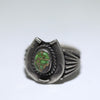 Caricolake Ring by Steve Arviso- 9.5