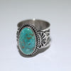 Sonoran Ring by Sunshine Reeves-8.5